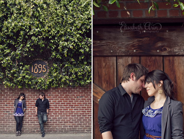 SacramentoEngagementNH-16