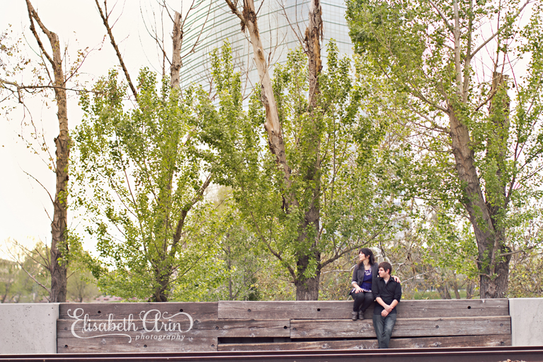 SacramentoEngagementNH-31