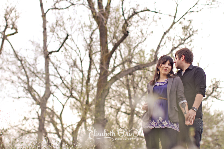 SacramentoEngagementNH-41