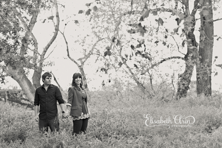 SacramentoEngagementNH-48