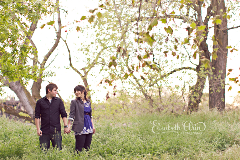 SacramentoEngagementNH-49