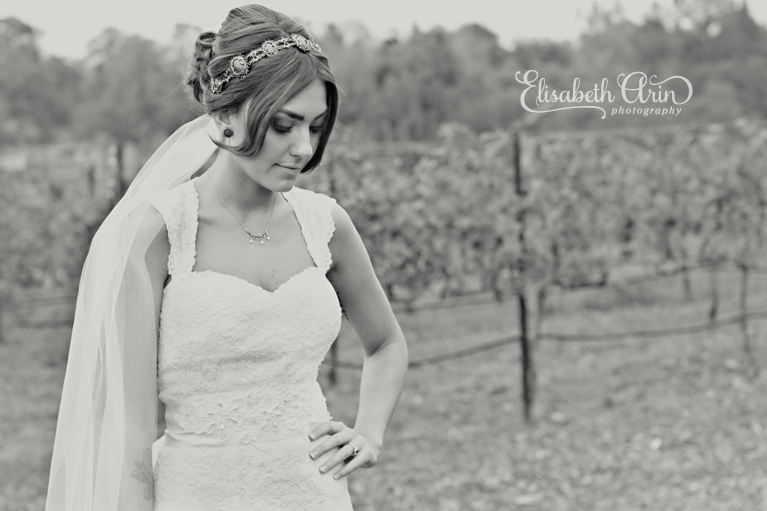 ShingleSpringsWedding_023